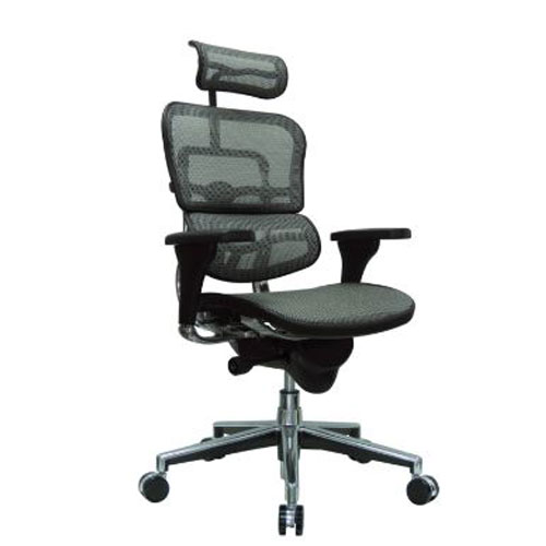 <br><b>New Eurotech Ergohuman Mesh Chair</b><br>ME7ERG, $1035