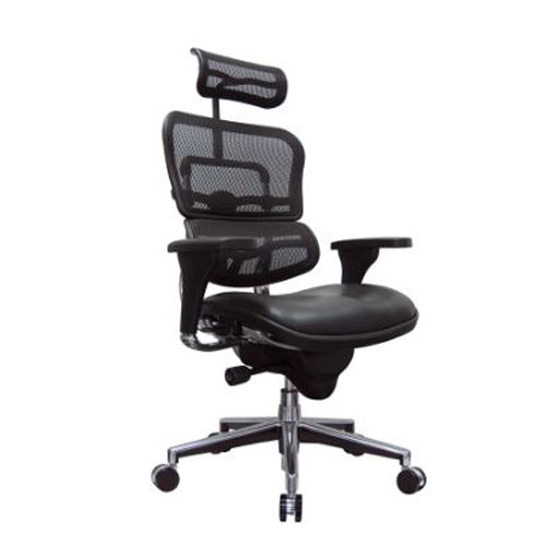 <br><b>New Eurotech Ergohuman Leather & Mesh Chair</b><br>LEM4ERG, $1060
