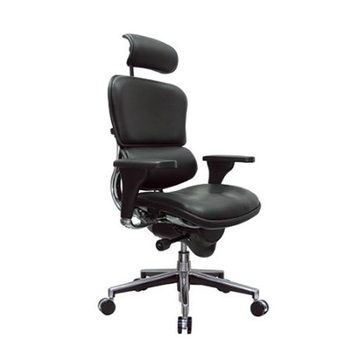 <br><b>New Eurotech Ergohuman Leather Chair</b><br>LE9ERG<br>$1080