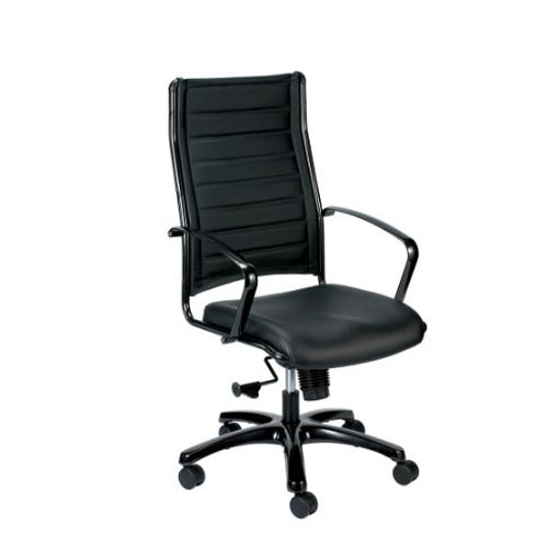 <br><b>New Eurotech Europa Leather Chair</b><br>LE811, $355