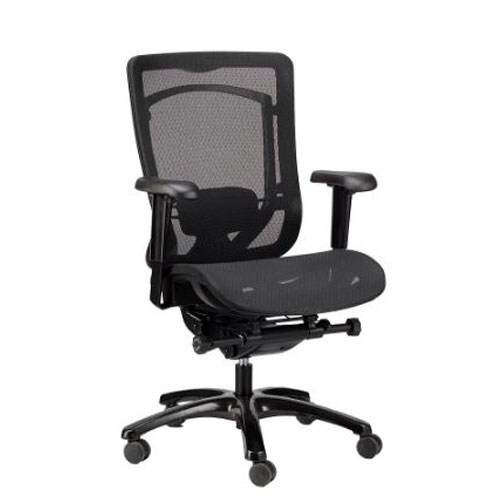 <br><b>New Eurotech Monterey Mesh Chair</b><br>MMSY55, $660